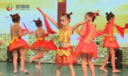 少儿舞蹈视频,少儿舞蹈视频魅力瞬间回顾